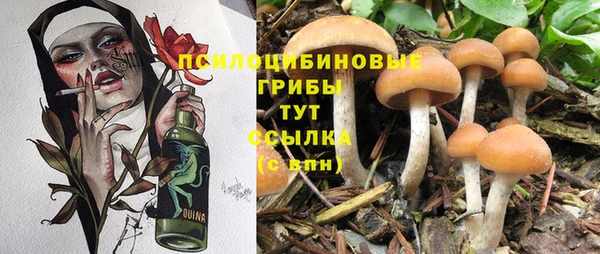 прущие крисы Алексин
